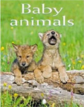 Hardcover Baby Animals: Pocket Book