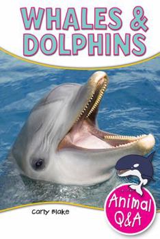 Paperback Whales & Dolphins Book