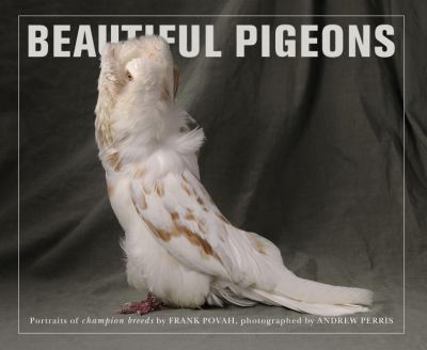 Paperback Beautiful Pigeons: Portraits of Champion Breeds Book