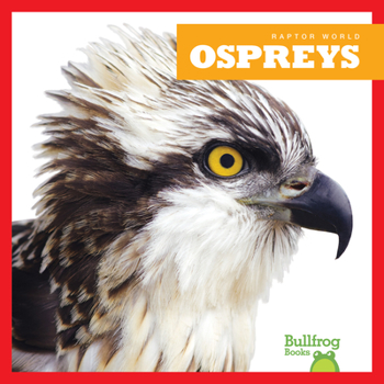 Paperback Ospreys Book