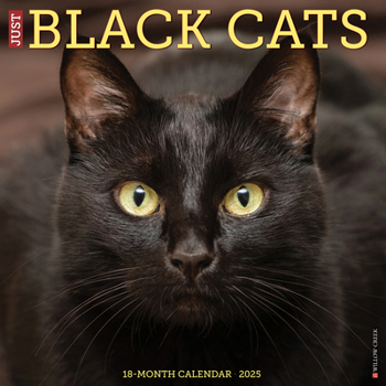 Calendar Just Black Cats 2025 12 X 12 Wall Calendar Book