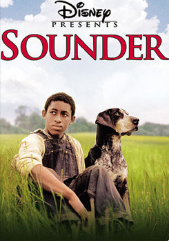 DVD Sounder Book