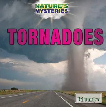 Paperback Tornadoes Book