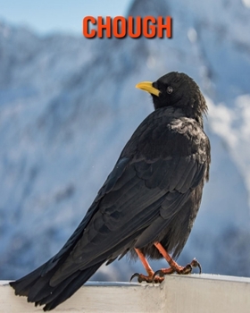 Paperback Chough: Amazing Facts & Pictures Book