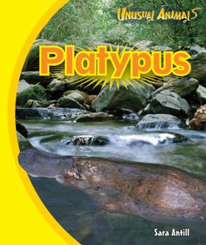 Platypus - Book  of the Unusual Animals