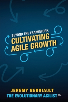 Paperback Beyond the framework Book