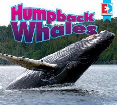 Humpback Whales - Book  of the Eyediscover