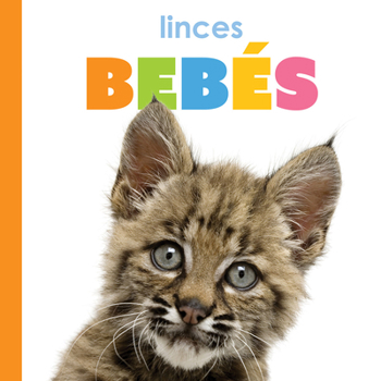 Library Binding Linces Bebés: Spanish Edition [Spanish] Book