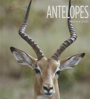 Library Binding Antelopes Book