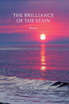 Paperback The Brilliance of the Stain Book