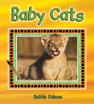 Paperback Baby Cats Book