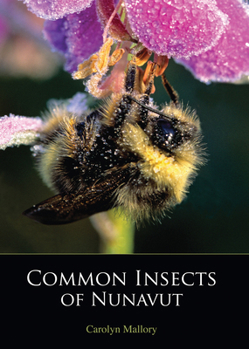 Paperback Common Insects of Nunavut Book