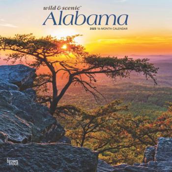 Calendar Alabama Wild & Scenic 2025 12 X 24 Inch Monthly Square Wall Calendar Plastic-Free Book