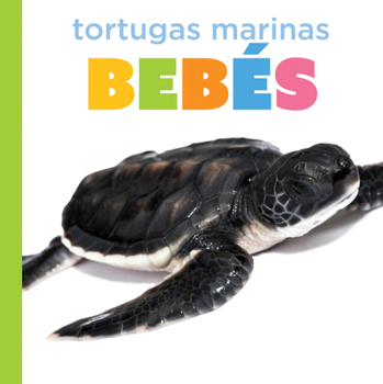 Paperback Tortugas Marinas Bebés [Spanish] Book