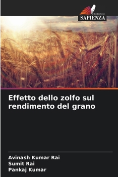 Paperback Effetto dello zolfo sul rendimento del grano [Italian] Book