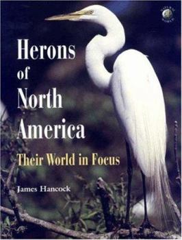 Paperback Herons of North America: Their World in Focus Book