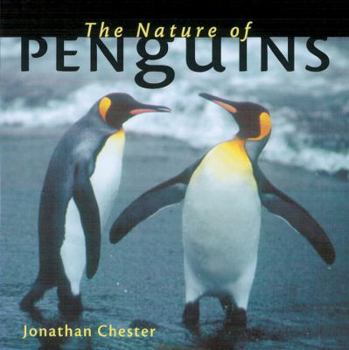 Paperback The Nature of Penguins Book