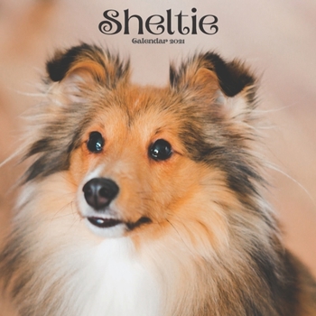 Paperback Sheltie Calendar 2021: Dog Calendar 2021 Wall, Dog Breed Calendar Book