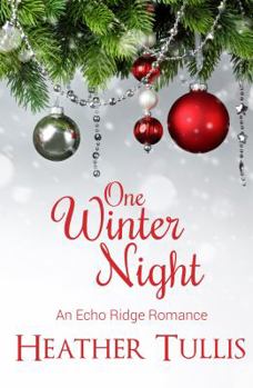One Winter Night - Book  of the Echo Ridge Romance