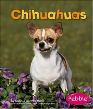 Chihuahuas (Pebble Books) - Book  of the Dogs Library