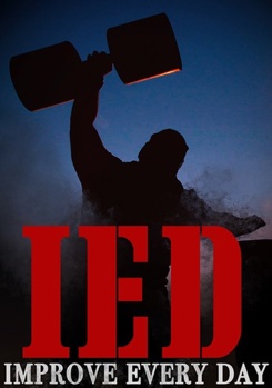 DVD IED: Improve Every Day Book
