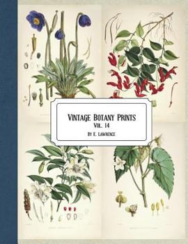 Paperback Vintage Botany Prints: Vol. 14 Book