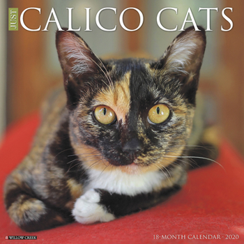 Calendar Just Calico Cats 2020 Wall Calendar Book