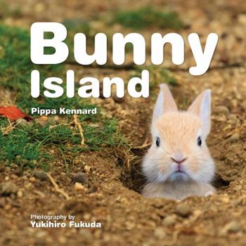 Hardcover Bunny Island Book