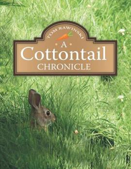 Paperback A Cottontail Chronicle Book