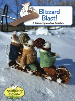 Hardcover Blizzard Blast Book