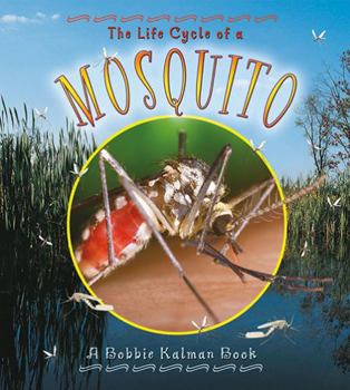 Hardcover The Life Cycle of a Mosquito Book