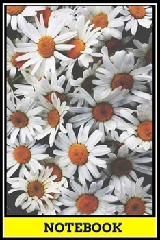 Paperback Notebook: Inspiration notebook, size 6x9 inch, notebook with motivation, funny quotes cover, 120 pages of lined paper matte cove Book