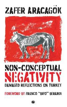 Paperback Non-Conceptual Negativity: Damaged Reflections on Turkey Book