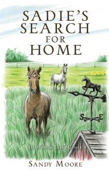 Hardcover Sadie's Search for Home Book