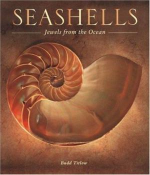 Hardcover Seashells: Jewels from the Ocean Book