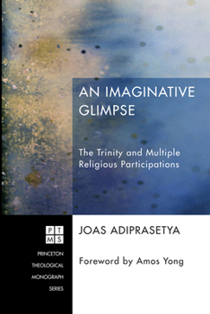 Hardcover An Imaginative Glimpse: The Trinity and Multiple Religious Participations Book
