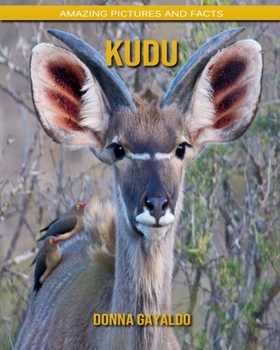 Kudu: Amazing Pictures and Facts