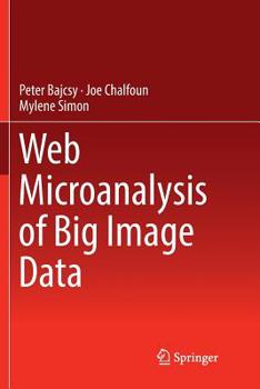 Paperback Web Microanalysis of Big Image Data Book