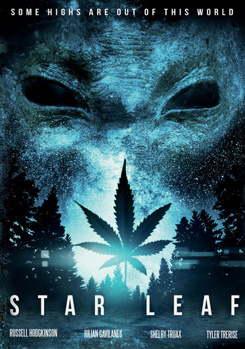 DVD Star Leaf Book
