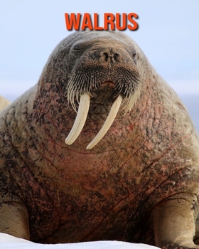 Paperback Walrus: Learn About Walrus and Enjoy Colorful Pictures Book
