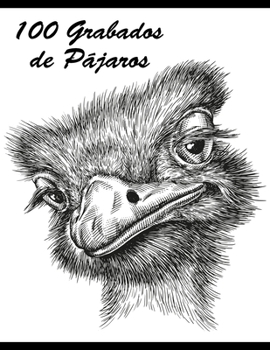 Paperback 100 Grabados de Pájaros [Spanish] Book