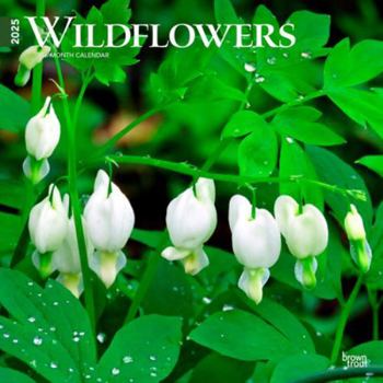 Calendar Wildflowers 2025 12 X 24 Inch Monthly Square Wall Calendar Plastic-Free Book