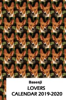 Paperback Basenji Lovers Calendar 2019-2020 Book