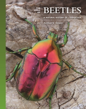 Hardcover The Lives of Beetles: A Natural History of Coleoptera Book