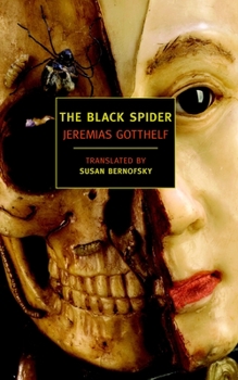 Paperback The Black Spider Book