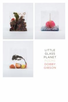 Paperback Little Glass Planet: Poems Book