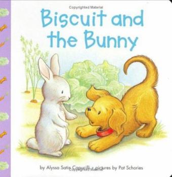 Board book Biscuit and the Bunny Book