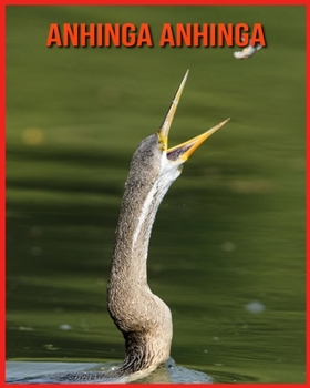 Paperback Anhinga anhinga: Fatti sorprendenti sui Anhinga anhinga [Italian] Book