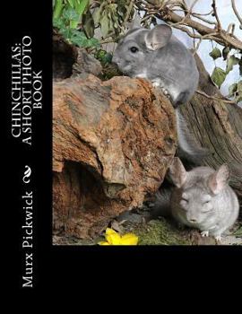 Paperback Chinchillas: A Short Photo Book