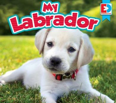 My Labrador - Book  of the Eyediscover Spanish